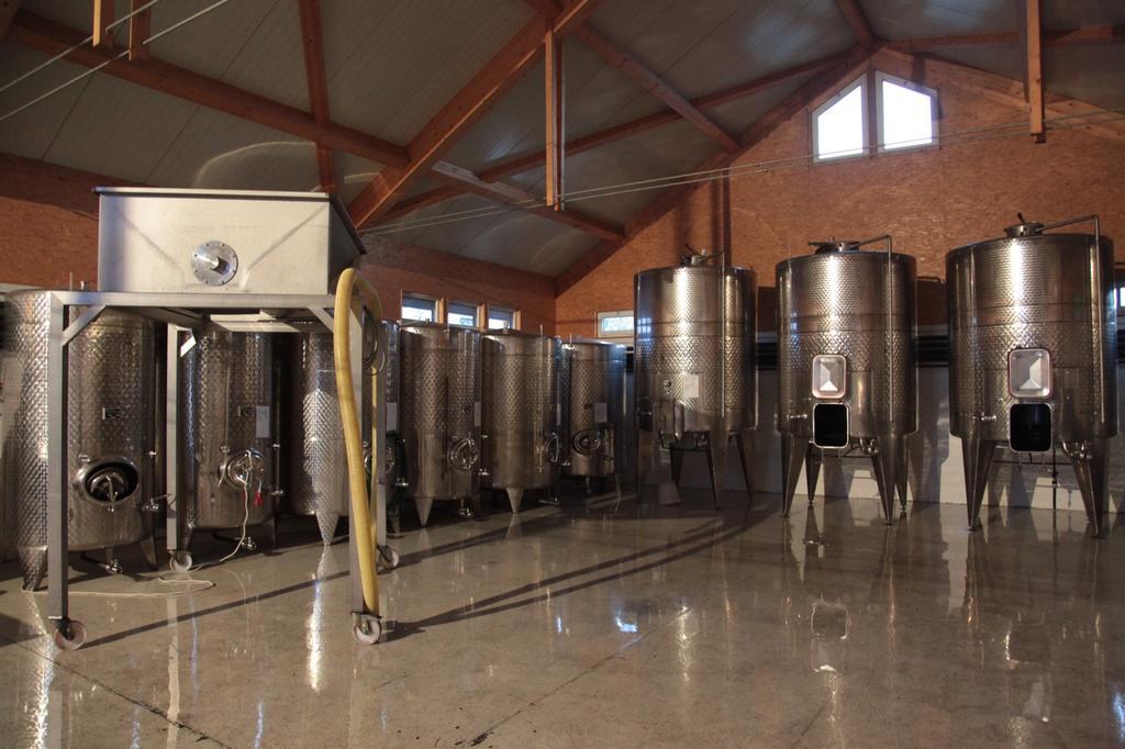 Winzerzimmer - Weingut Tinhof Eisenstadt Bagian luar foto