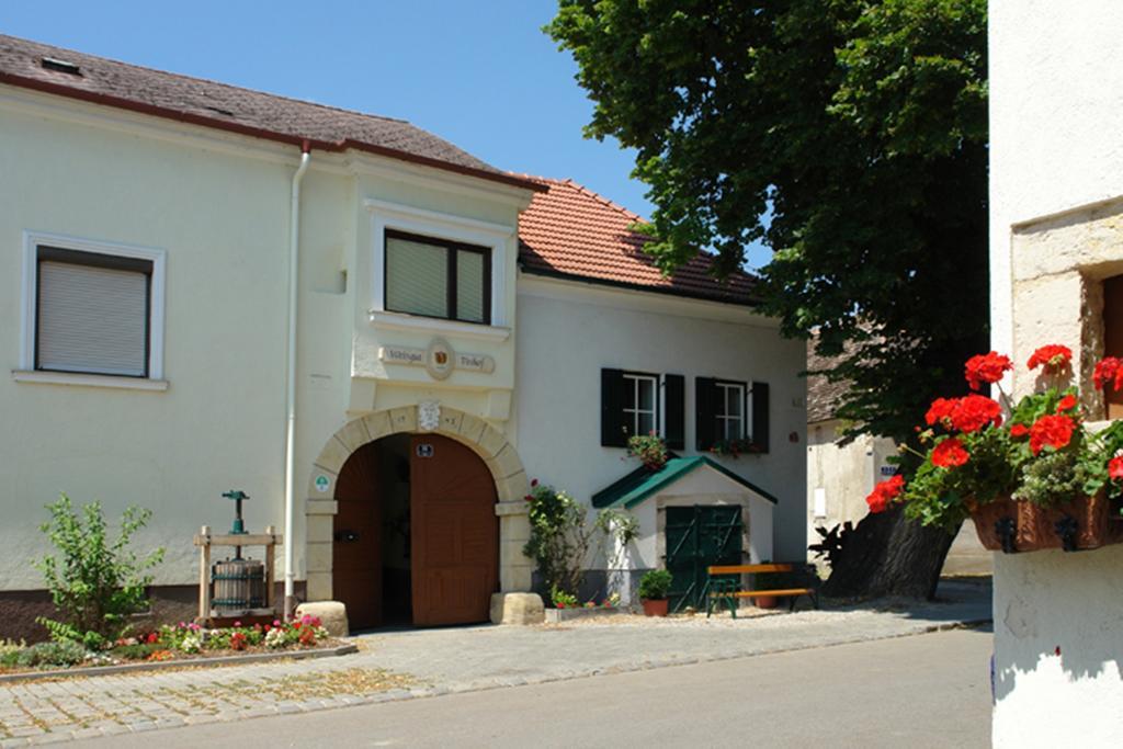 Winzerzimmer - Weingut Tinhof Eisenstadt Bagian luar foto