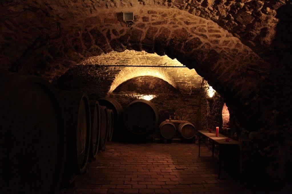 Winzerzimmer - Weingut Tinhof Eisenstadt Bagian luar foto